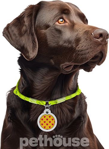 Collar WAUDOG Smart ID Шнурок із паракорду для адресника, світловідбивний, жовтий