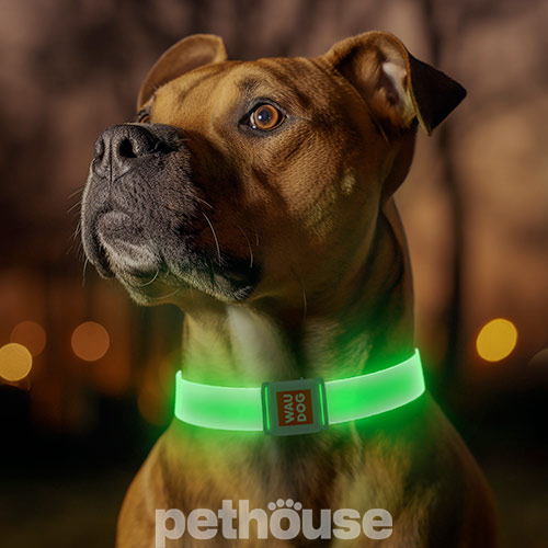 Collar WauDog LED Нашийник для собак з підсвічуванням Collar WauDog LED Нашийник для собак з підсвічуванням