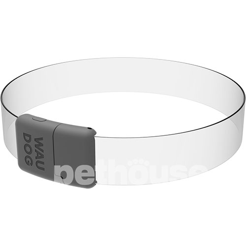 Collar WauDog LED RGB Нашийник для собак з підсвічуванням, регульований