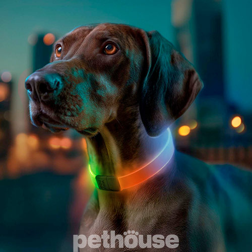 Collar WauDog LED RGB Нашийник для собак з підсвічуванням, регульований