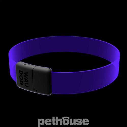 Collar WauDog LED RGB Нашийник для собак з підсвічуванням, регульований