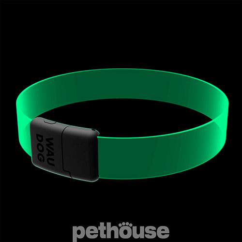 Collar WauDog LED RGB Нашийник для собак з підсвічуванням, регульований