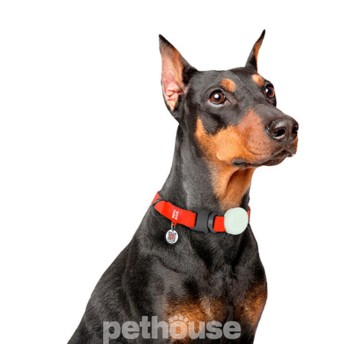 Collar WauDog Silicone AirTag Чохол для трекера-брелка, світлонакопичувальний Collar WauDog Silicone AirTag Чохол для трекера-брелка, світлонакопичувальний