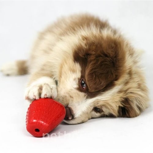 Comfy Игрушка-кормушка в виде клубники для собак, фото 3