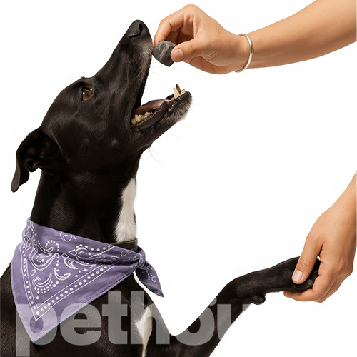 Cosset Ліофілізовані яловичі легені з чорницею для собак