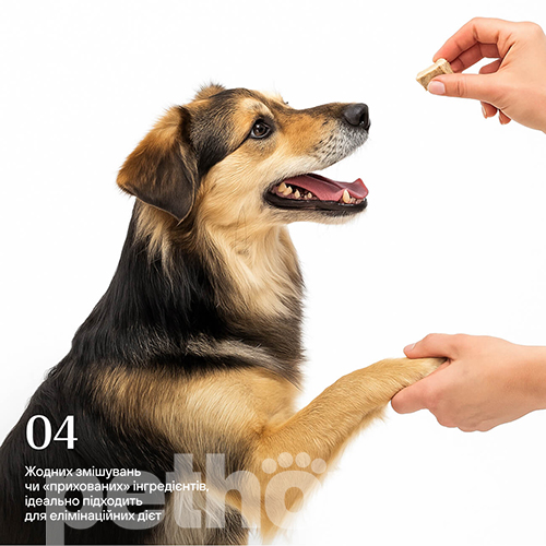 Cosset Лиофилизированный говяжий желудок для собак