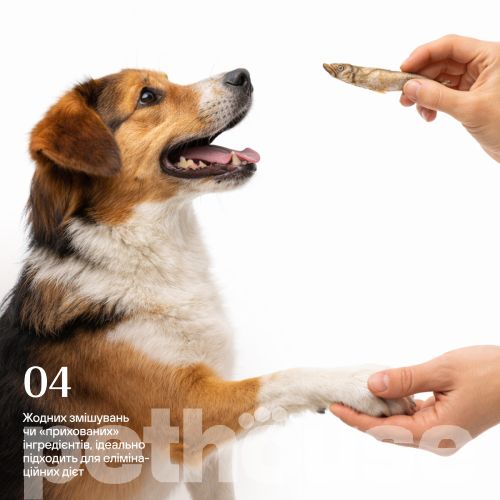 Cosset Лиофилизированная килька для собак