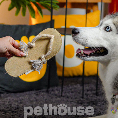 D&M Pets Іграшка "Шльопанець" для собак