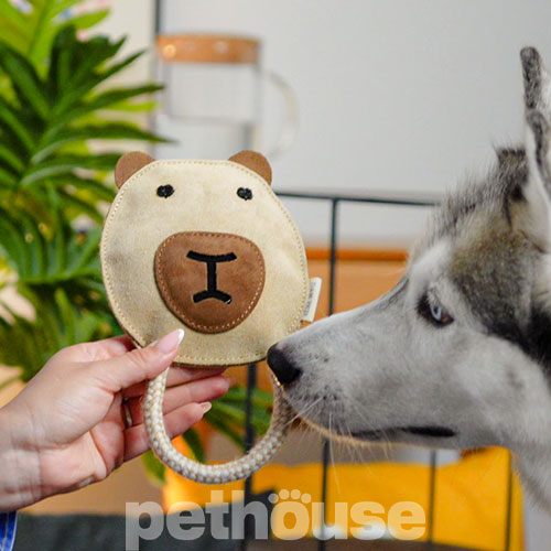 D&M Pets Іграшка "Ведмідь" для собак