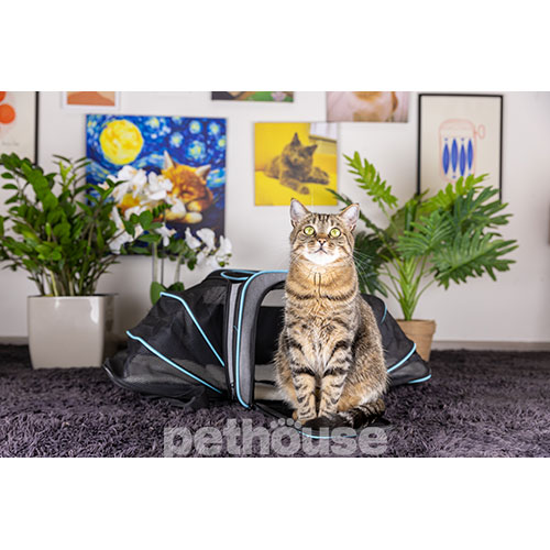 D&M Pets Сумка-переноска Huge для котів і собак, сіра