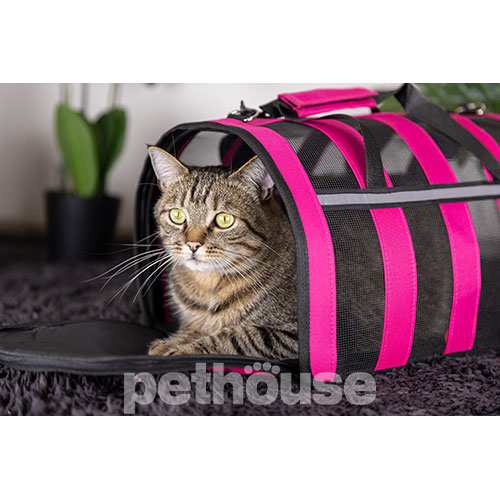 D&M Pets Сумка-переноска Tera для кошек и собак, розовая
