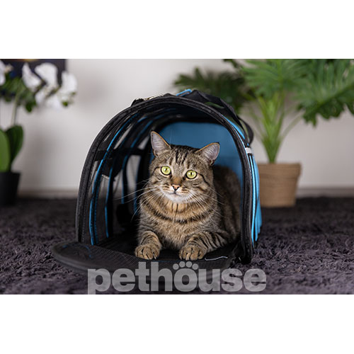 D&M Pets Сумка-переноска Tera для кошек и собак, голубая