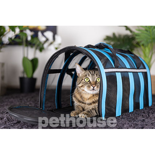 D&M Pets Сумка-переноска Tera для кошек и собак, голубая