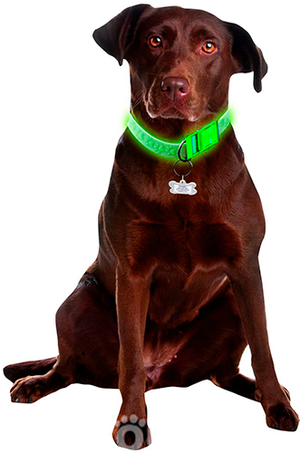 Davis FurEver Brite Safety Collar Cветящийся ошейник для собак, фото 3