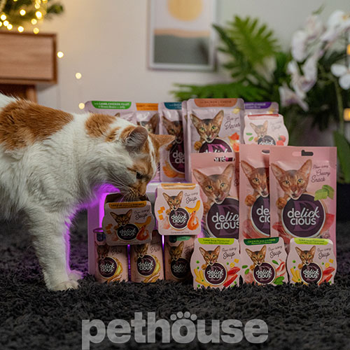 Delickcious Cat Adult Strips with Duck & Pumpkin in Cream Soup