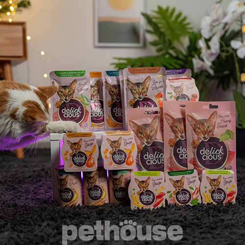 Delickcious Cat Adult Strips with Salmon & Cheese in Cream Soup