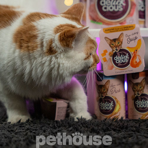 Delickcious Cat Adult Drink with Tuna