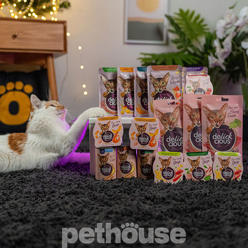 Delickcious Cat Adult Drink with Tuna