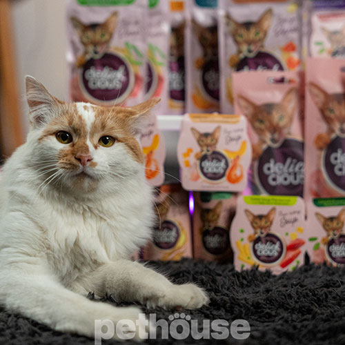 Delickcious Cat Adult Soup Chicken & Ham Flavored with Spinach