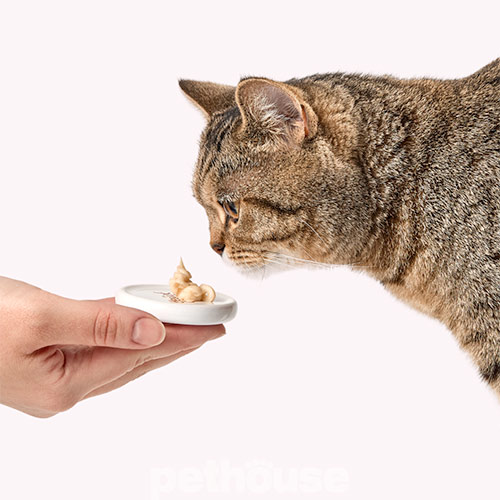 Delickcious Cat Adult Creamy Snack Lamb Flavored with Brown Rice & Zucchini