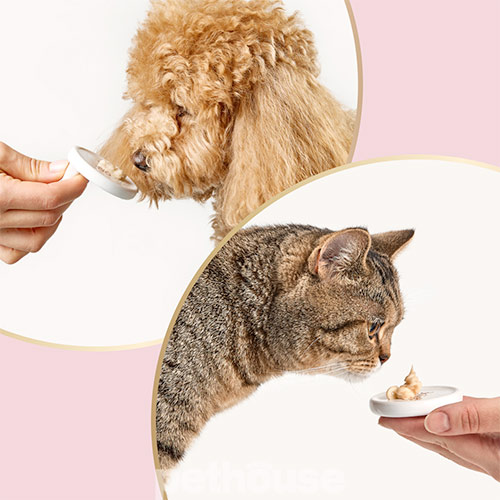 Delickcious Dog & Cat Adult Creamy Snack Milk with Cheese