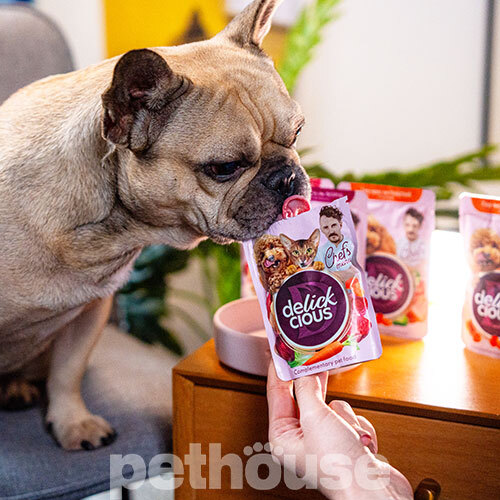 Delickcious Chef's Menu Борщ з яловичиною для котів і собак