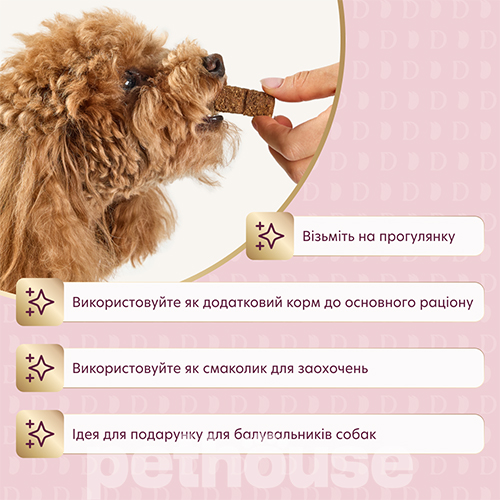 Delickcious Dog Adult Air-Dried Snack with Beef & Pumpkin