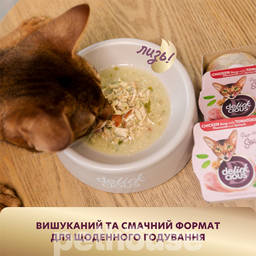 Delickcious Cat Adult Soup Multi Pack