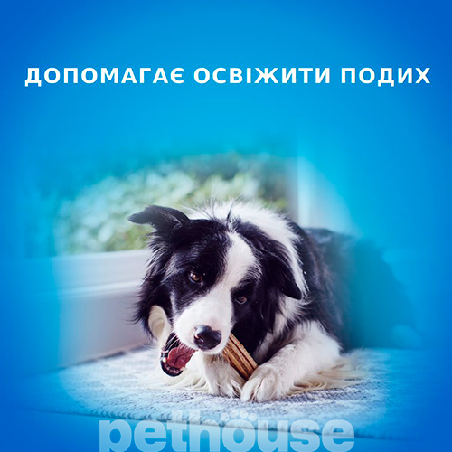 Dentalife Medium Палички для здоров'я зубів у собак середніх порід
