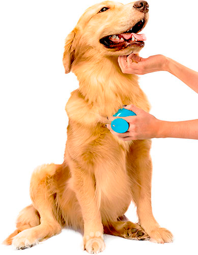 Dexas StressBuster Масажна щітка для собак, фото 3