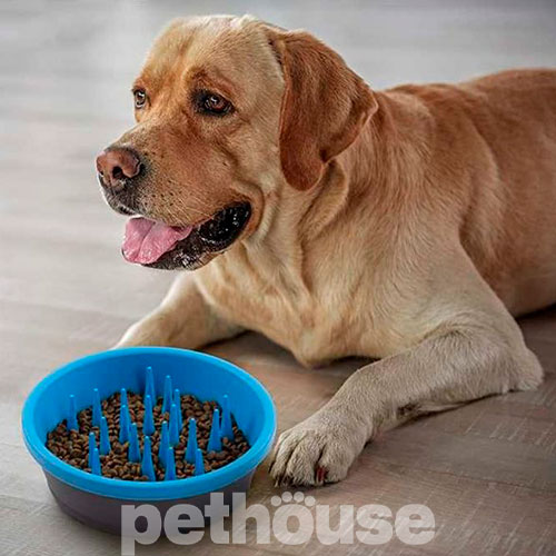 Dexas Slow Feeder Dog Bowl Миска-лабиринт для собак, фото 2