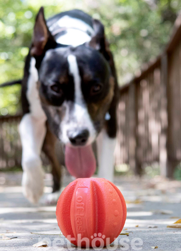 Dexas Off-Leash Reaction Ball Мяч с карабином для собак, фото 5