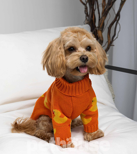 Dogs Bomba В'язаний светр "Каченята" для собак Dogs Bomba В'язаний светр "Каченята" для собак