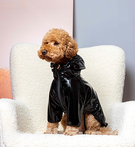 Dogs Bomba Дощовик "Вініл" для собак, чорний Dogs Bomba Дощовик "Вініл" для собак, чорний