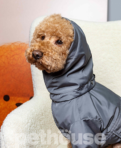 Dogs Bomba Дощовик-куртка для собак, графітовий Dogs Bomba Дощовик-куртка для собак, графітовий