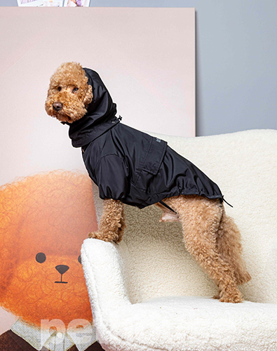 Dogs Bomba Дощовик-куртка для собак, чорний Dogs Bomba Дощовик-куртка для собак, чорний