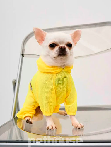Dogs Bomba Костюм сітчастий для собак, жовтий Dogs Bomba Костюм сітчастий для собак, жовтий