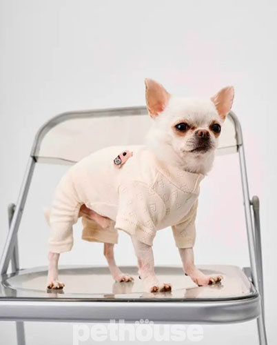 Dogs Bomba Костюм перфорированный для собак, пудровый Dogs Bomba Костюм перфорированный для собак, пудровый