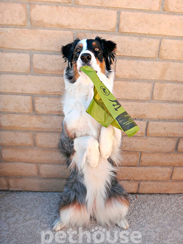 Earth Rated Handle Bags Біорозкладні ароматизовані пакети з ручками для собак, фото 5