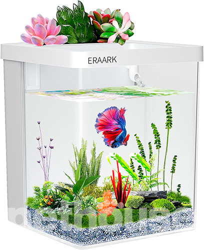 Eraark Intelligent Aquarium Mini Акваріумний набір