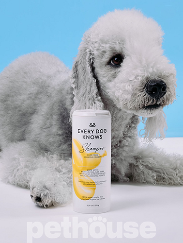 Every Dog Knows Концентрований порошковий шампунь для собак Every Dog Knows Концентрований порошковий шампунь для собак