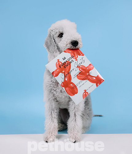 Every Dog Knows Листовий шампунь для глибокого очищення шерсті для собак Every Dog Knows Листовий шампунь для глибокого очищення шерсті для собак