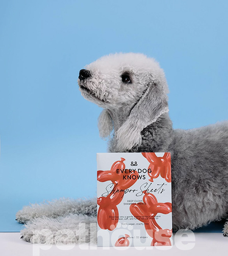 Every Dog Knows Листовий шампунь для глибокого очищення шерсті для собак Every Dog Knows Листовий шампунь для глибокого очищення шерсті для собак