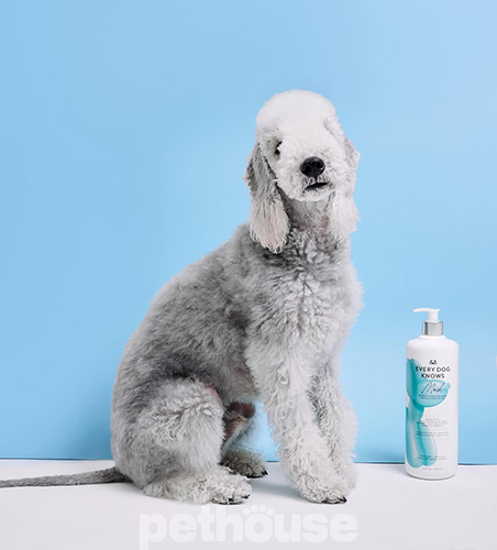 Every Dog Knows Зволожувальна маска для всіх типів шерсті для собак Every Dog Knows Зволожувальна маска для всіх типів шерсті для собак