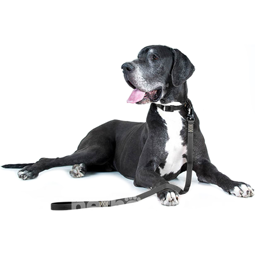 Evolutor Поводок для собак, черный