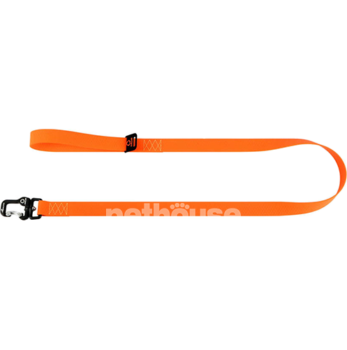 Evolutor Поводок для собак, оранжевый