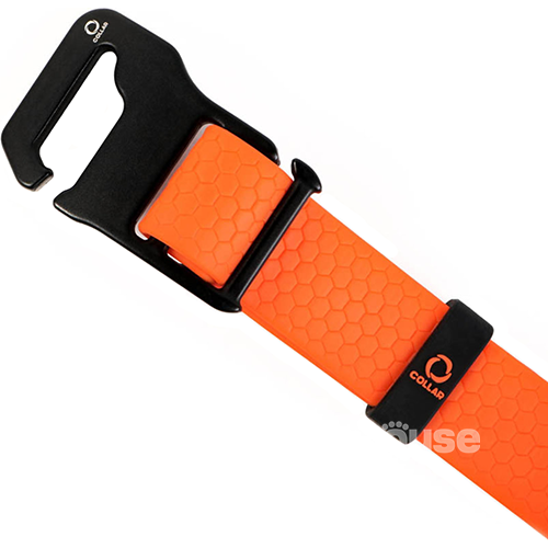 Evolutor Ошейник для собак, оранжевый