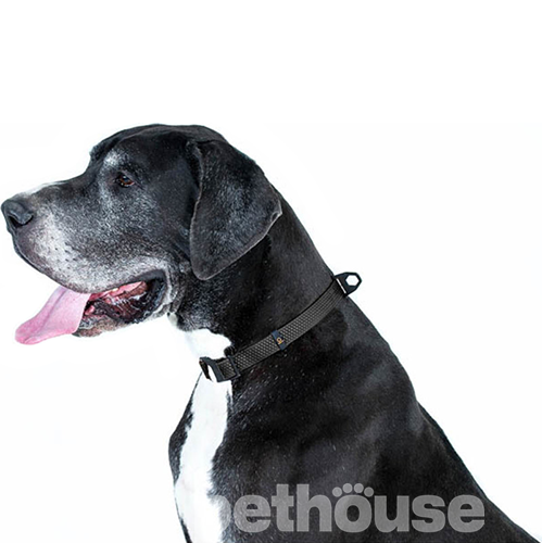 Evolutor Ошейник для собак, черный