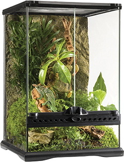 Exo Terra Natural Terrarium Террариум стеклянный террариумы и ...