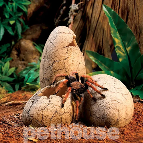 Exo Terra "Dinosaur Eggs" Декорация для террариума